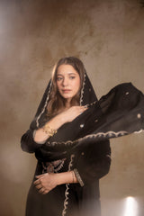 BLACK BEAUTY Women’s Embroidered Vichitra Kurta Pant Set with Dupatta